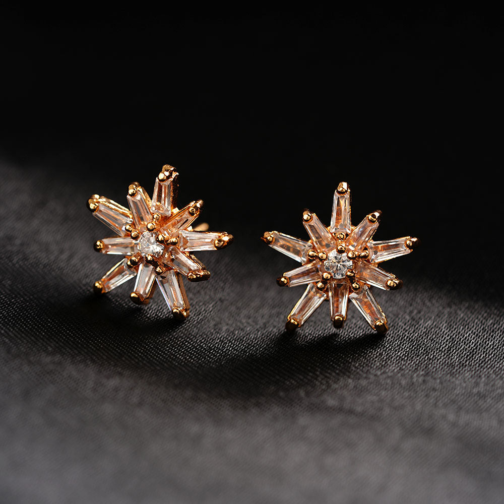 Aurylisse- Stone Studded Zirconia Stud Earrings