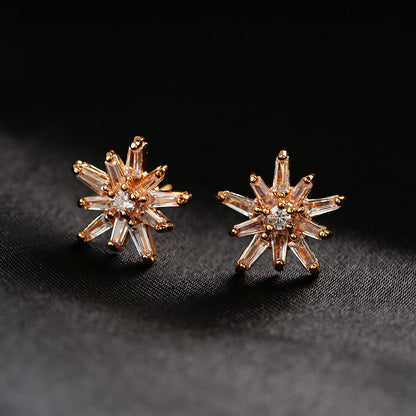 Aurylisse- Stone Studded Zirconia Stud Earrings